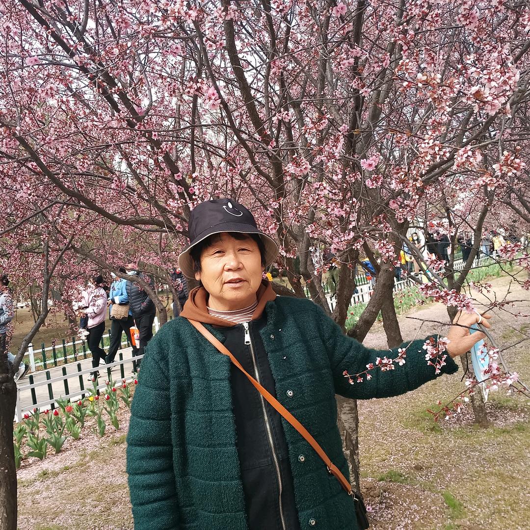 宇博奶奶记录生活