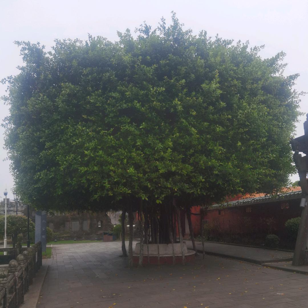 人心莫测