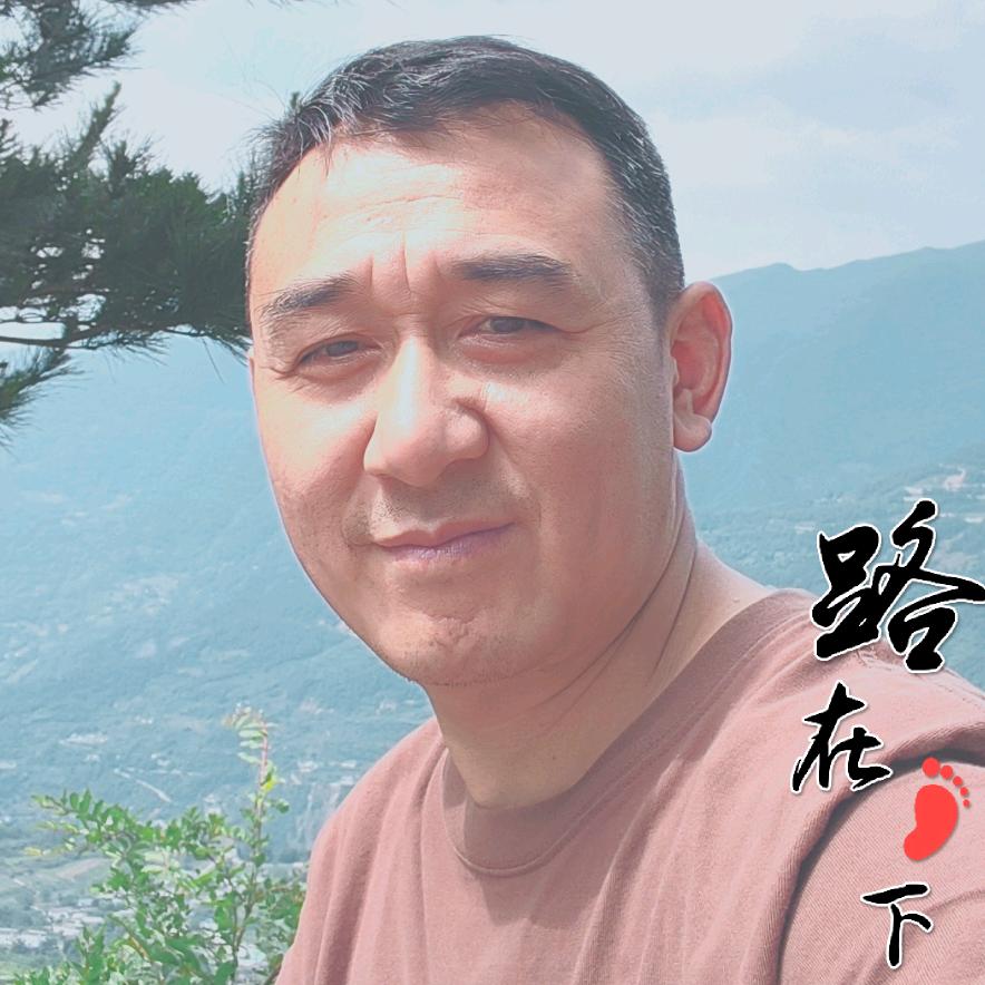 稳速特