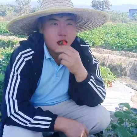 单身的财哥