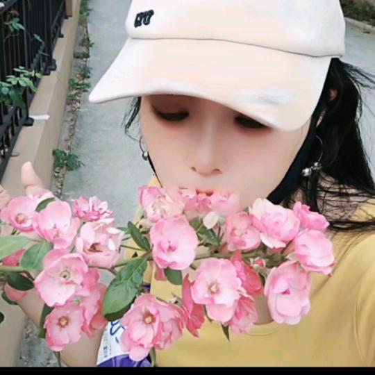 香橙