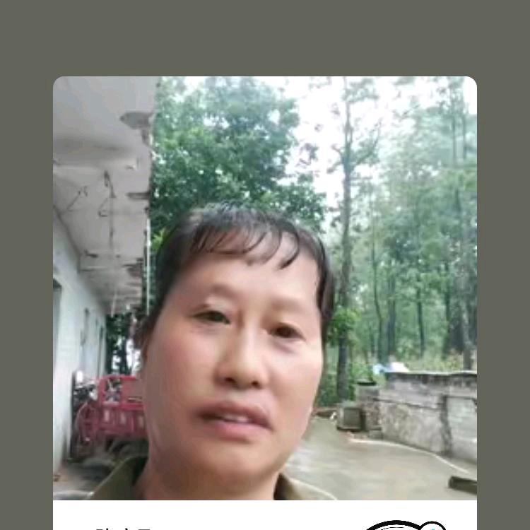 陈高飞