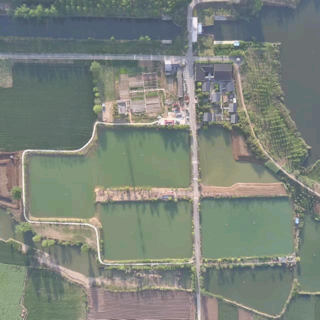 星野垂钓中心