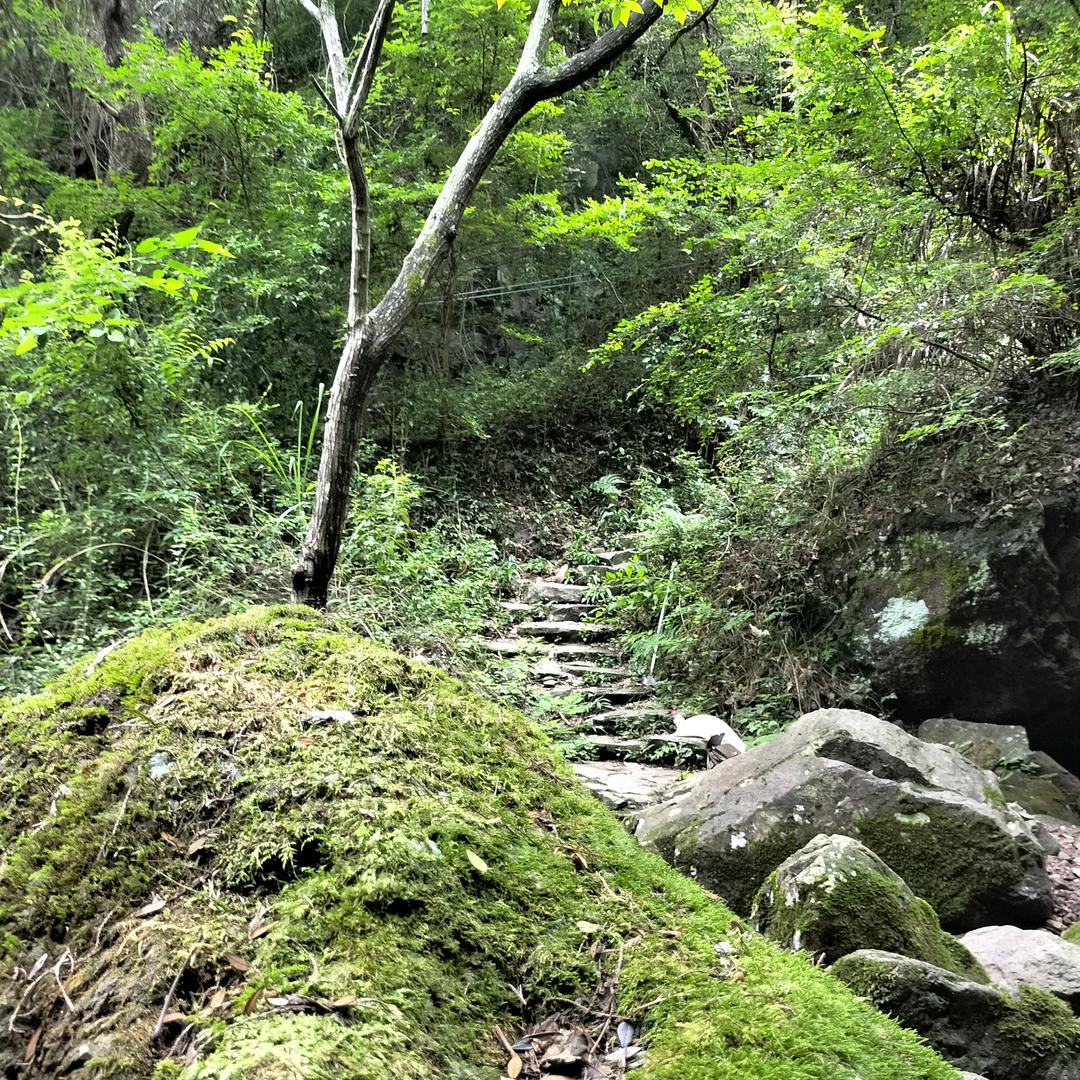 未来小院