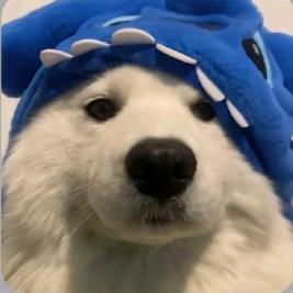 戏曲浩浩