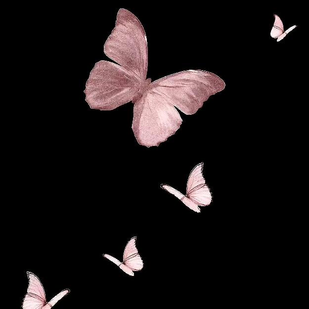 林可弦xull（含🍫100％）