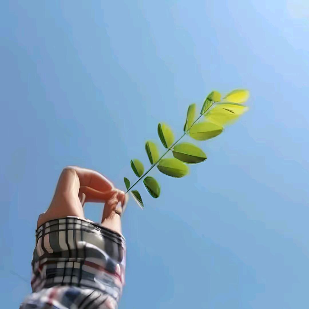 @DY