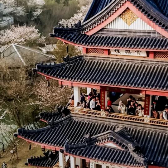 心若在：梦就在