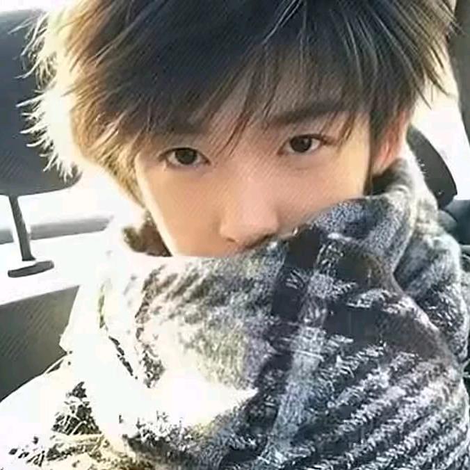 胡鹏公司