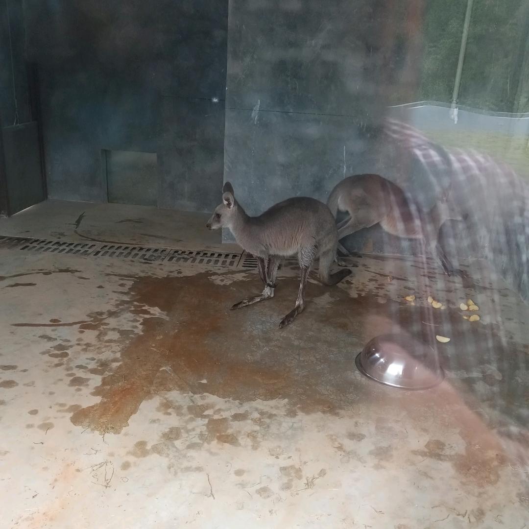 风声水起