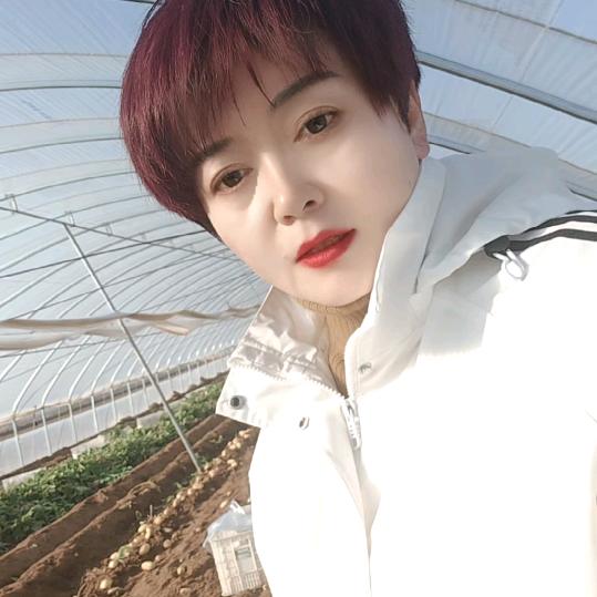 山东土豆白菜魏姐