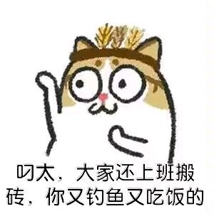 吾叫虾会飞