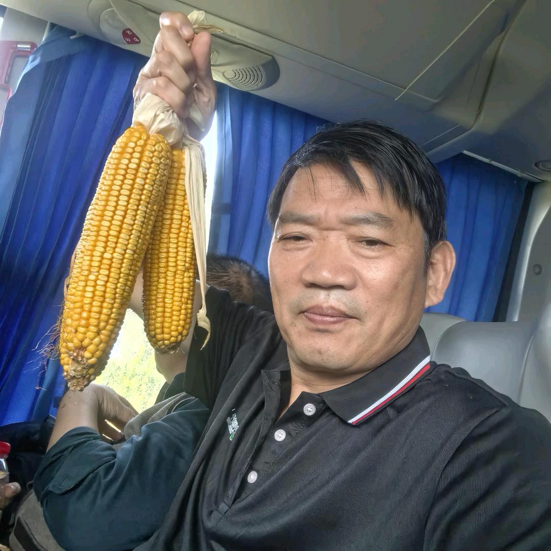 五河千村植保刘刚