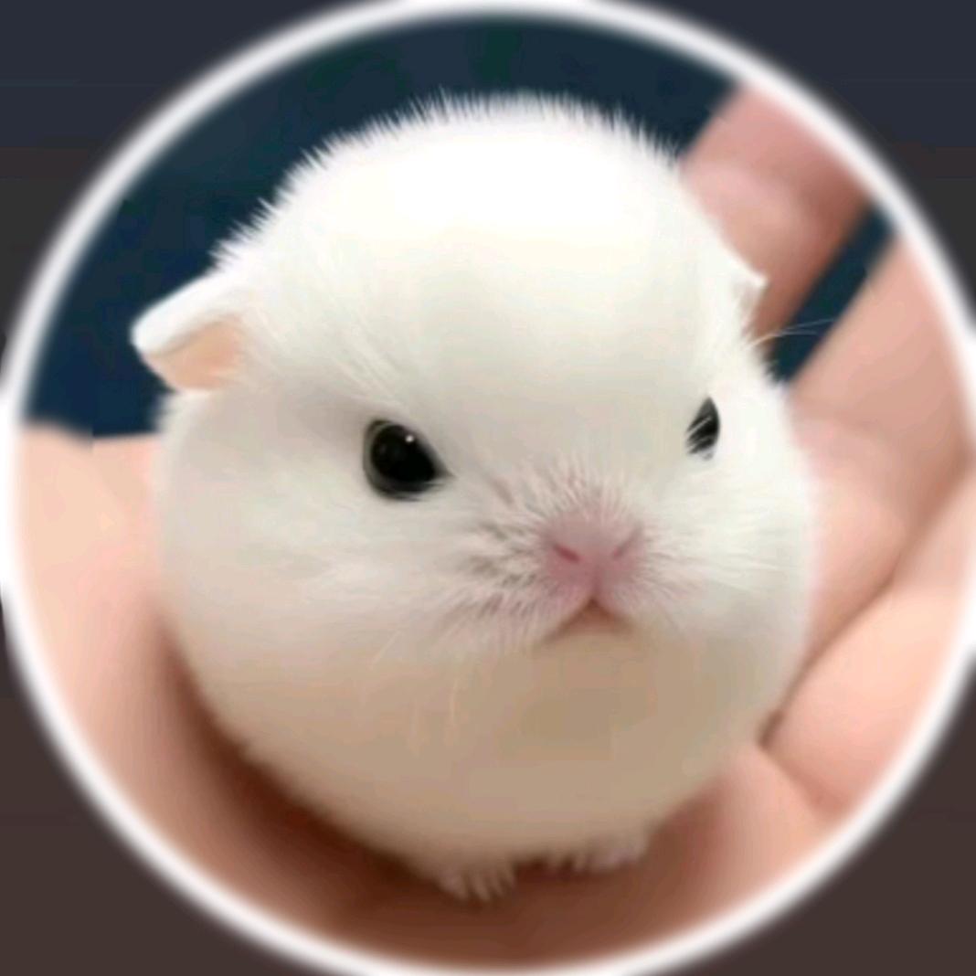 王静王