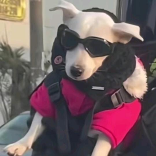 如此