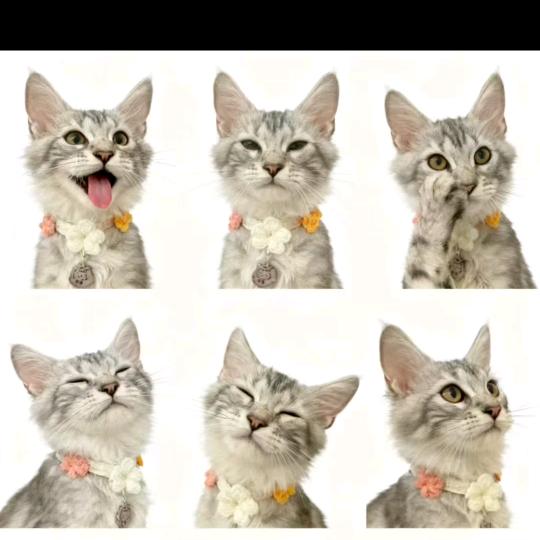 得之坦然失之淡然