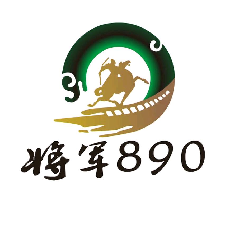 将军890·炸串（北安小区店）