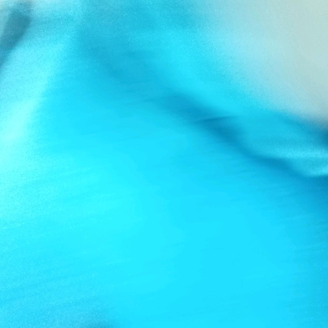 芬姐