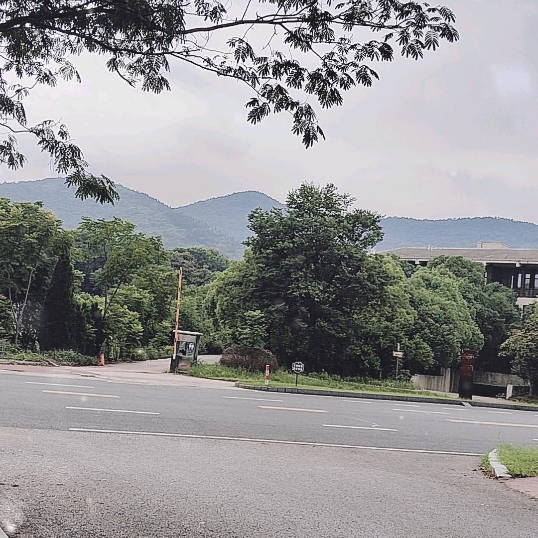 阳光总在风雨后