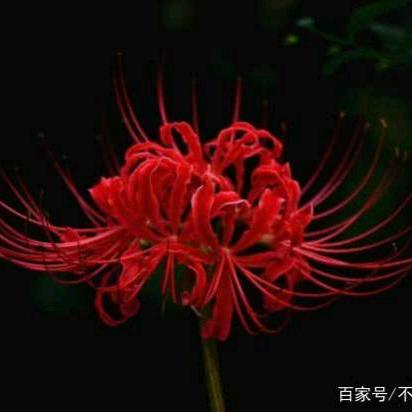 你若无情我便休