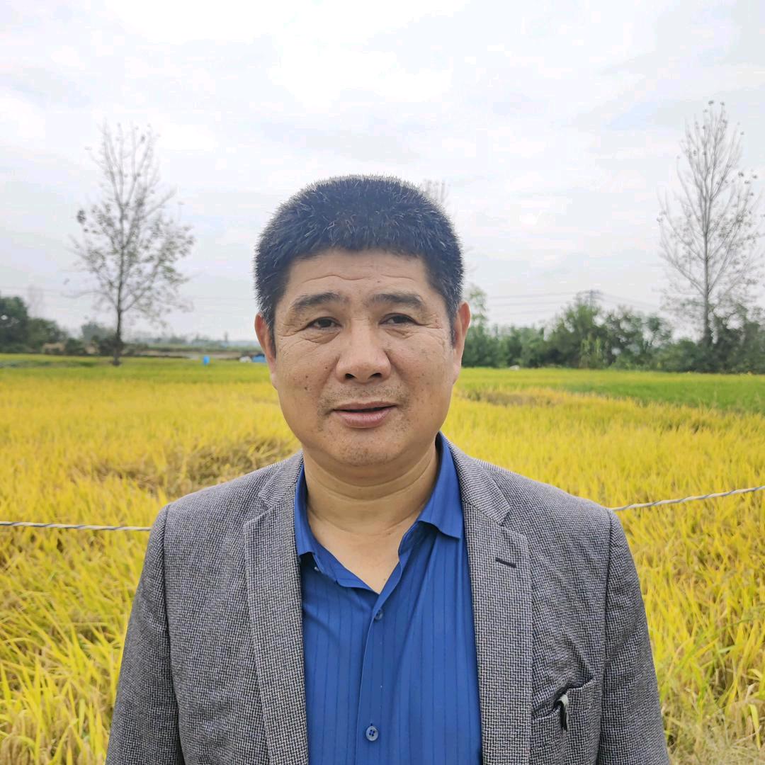 陈大炮自驾游