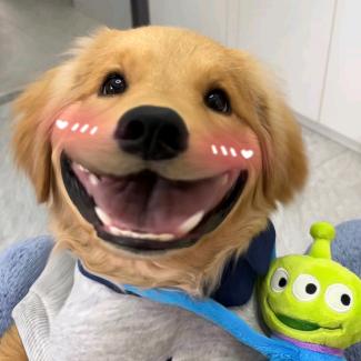 星河.