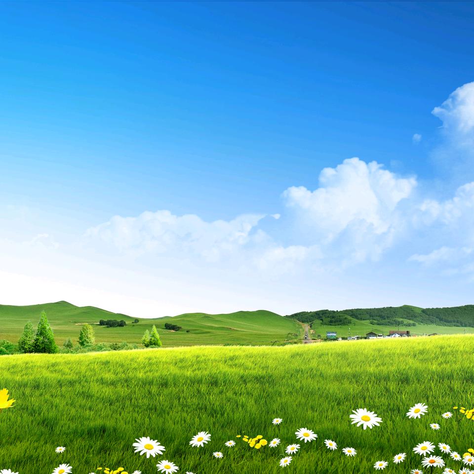 邱👍永兴专业手机维修，换屏，贴膜，电池