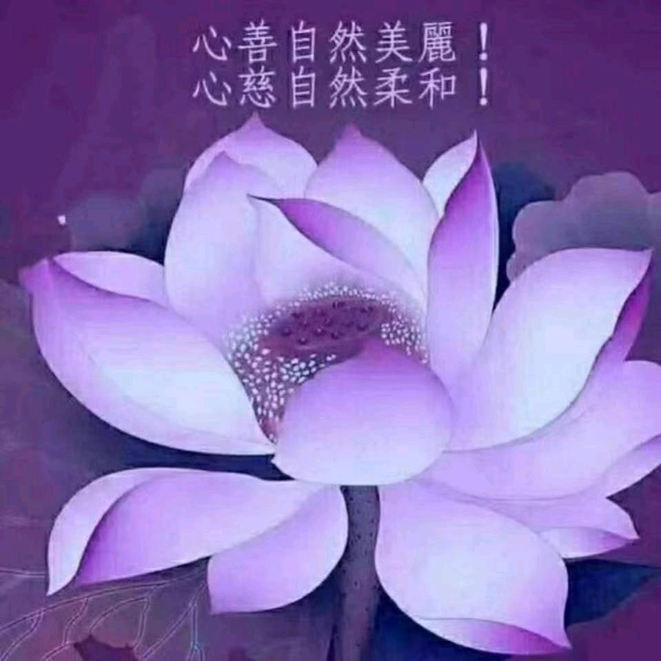 虎=^_^=子