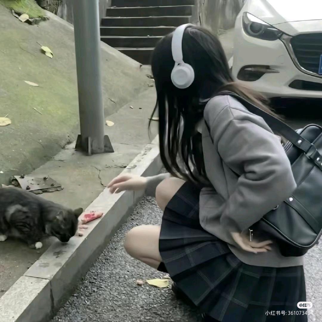 夏日浅草