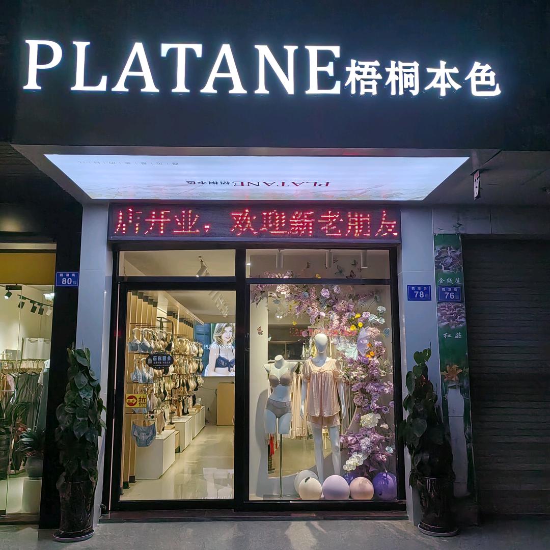 梧桐
