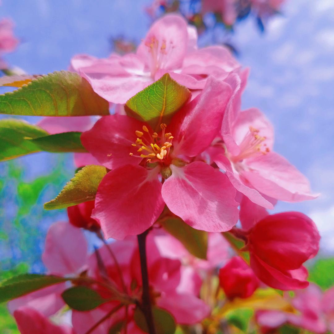 💞ꦿ᭄情深ღ致命🌸ꦿз  ᮨ້໌࿐