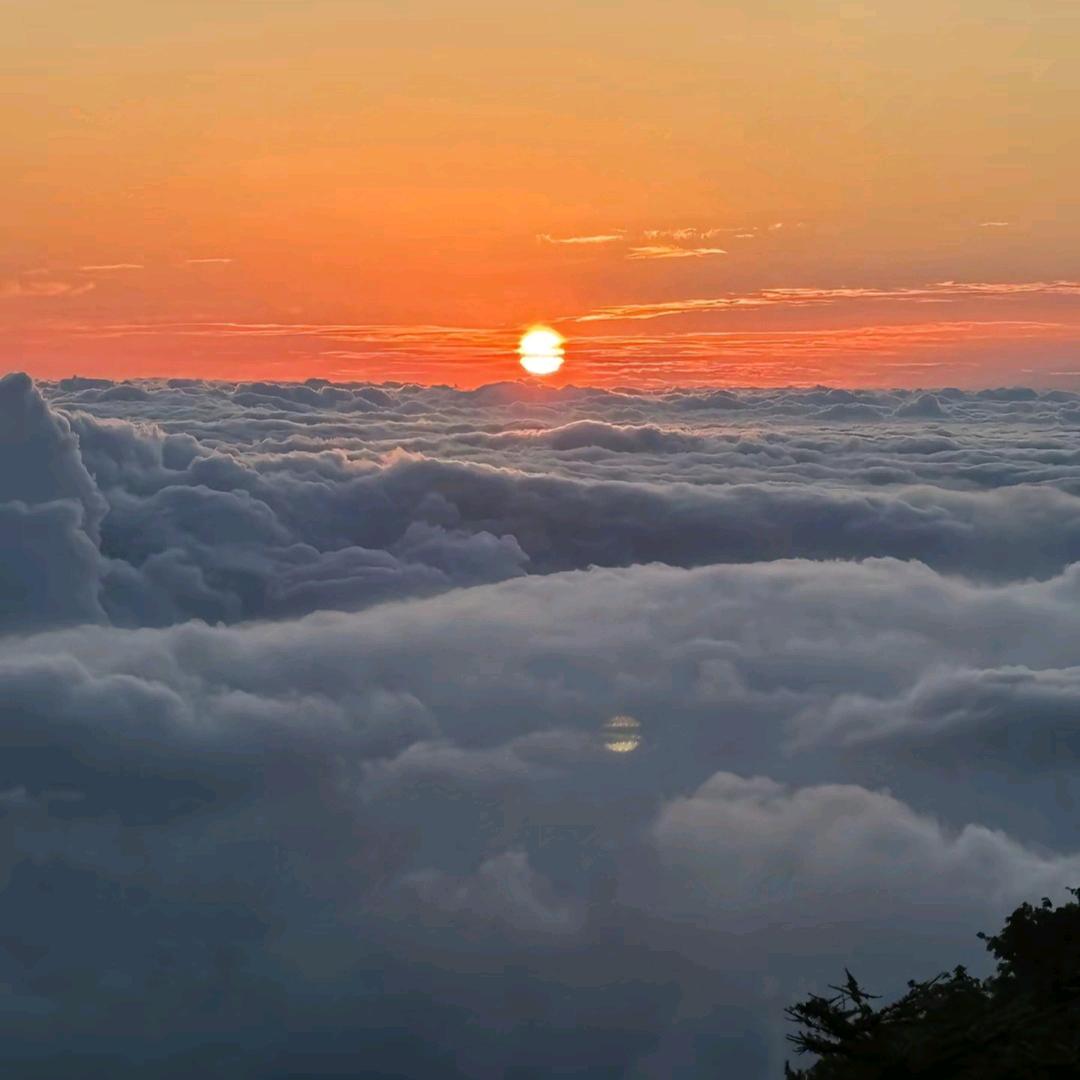 追随北哥一路向北