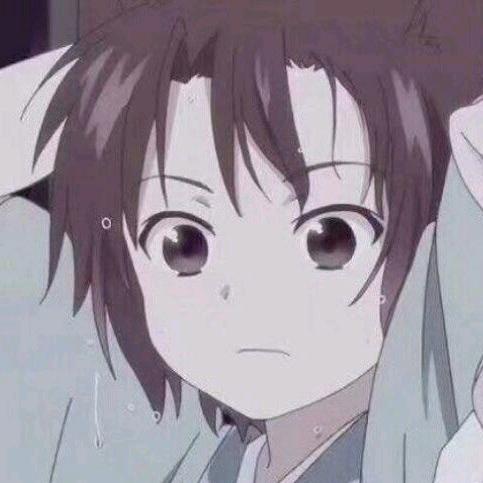 迪辉集团