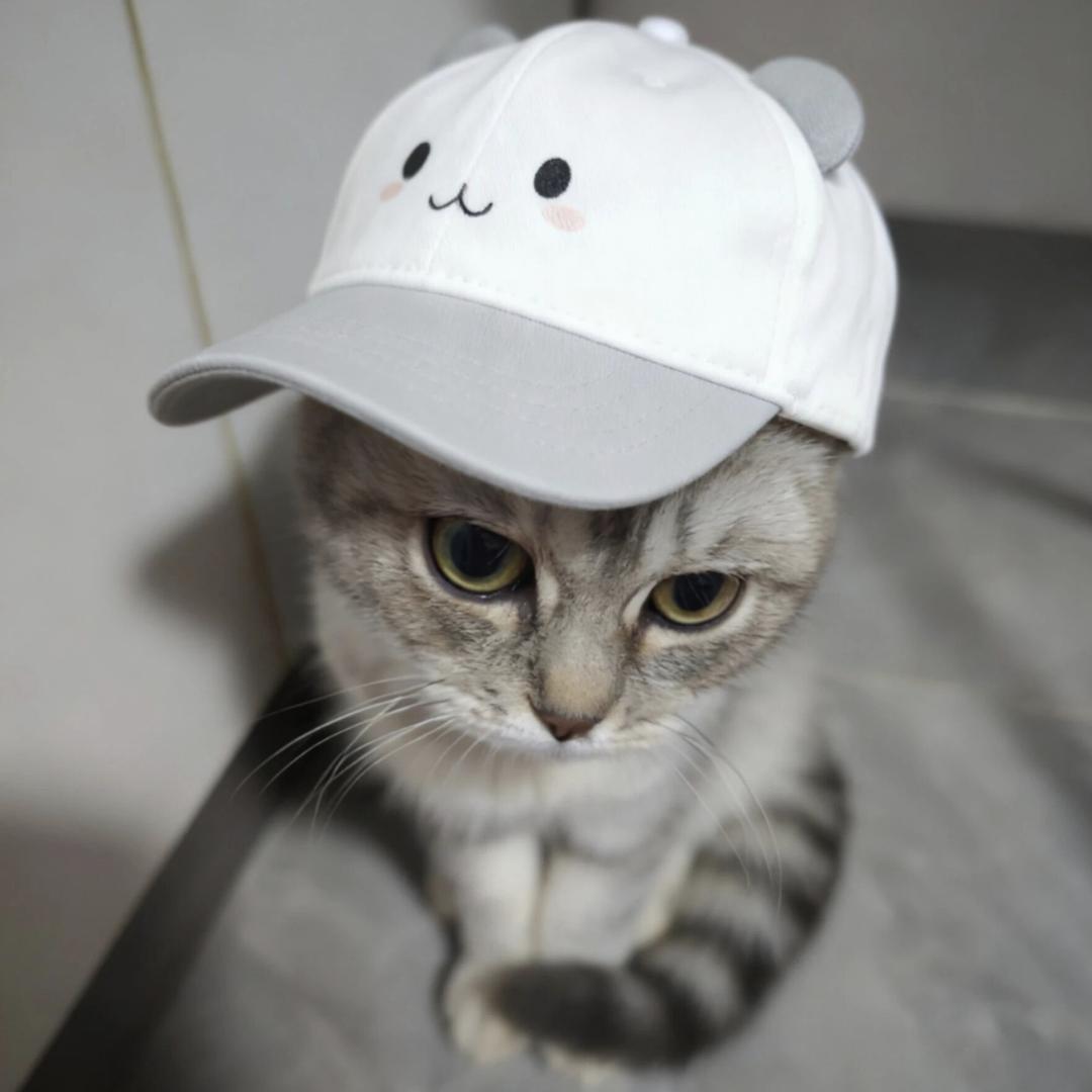 孤独的根号3️⃣