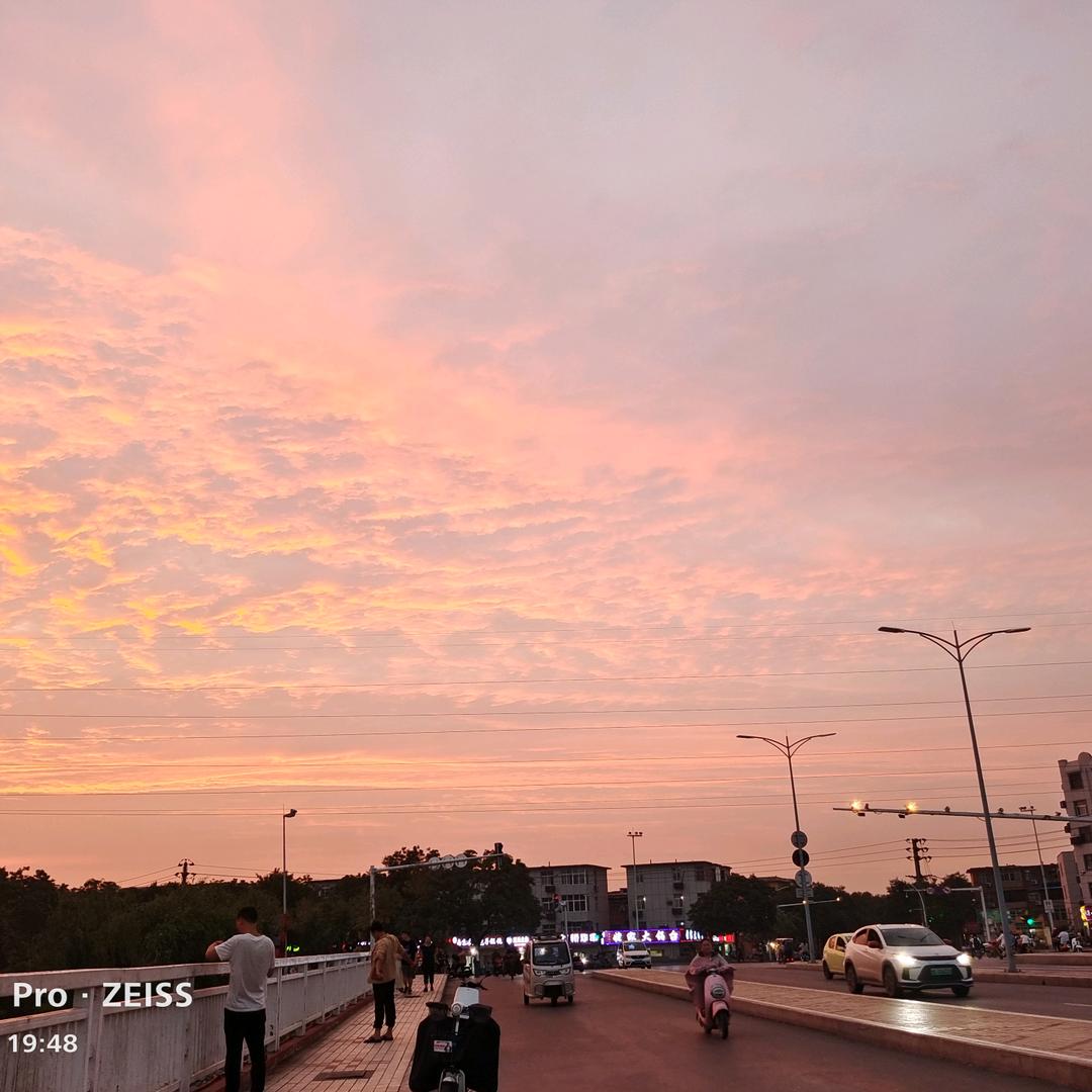 初夏@