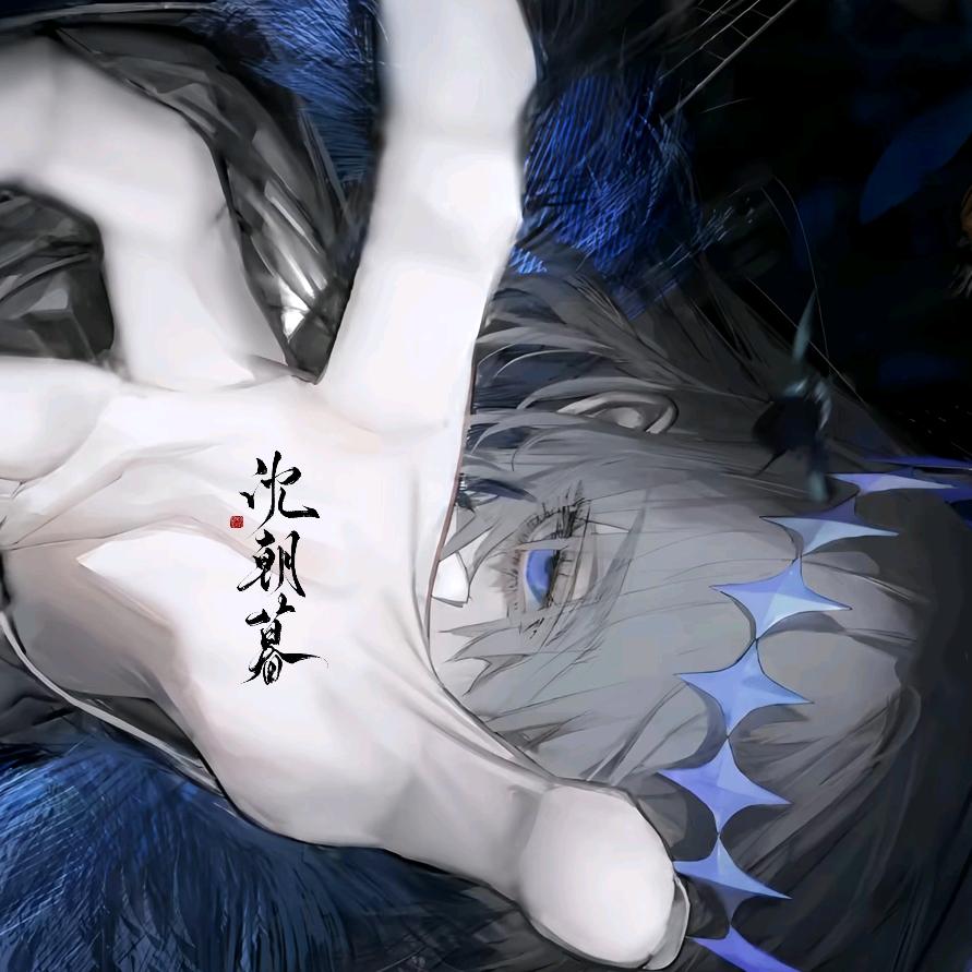 -沈朝暮-