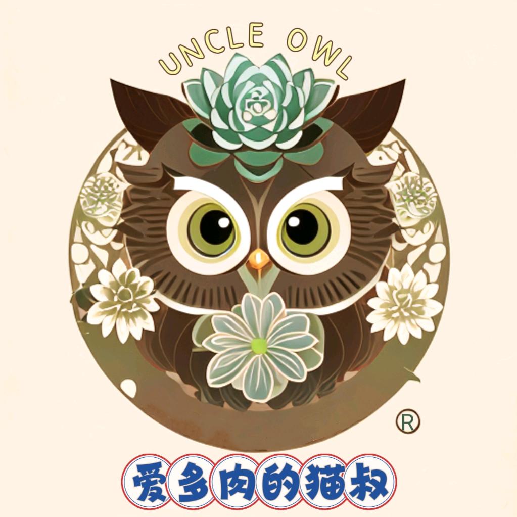 爱多肉的猫叔