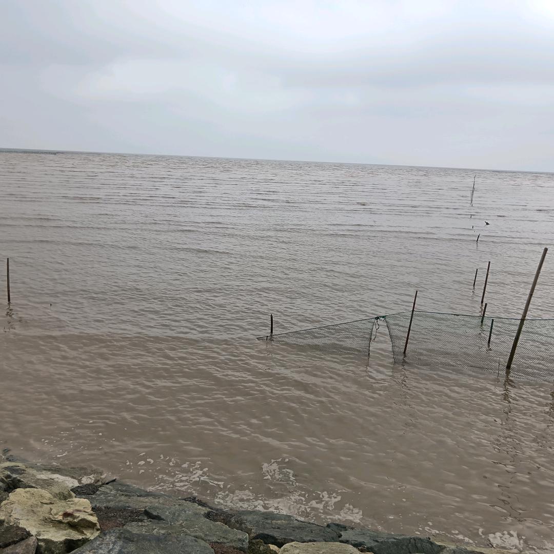 往后余生一路顺风，平平安安有我守护。