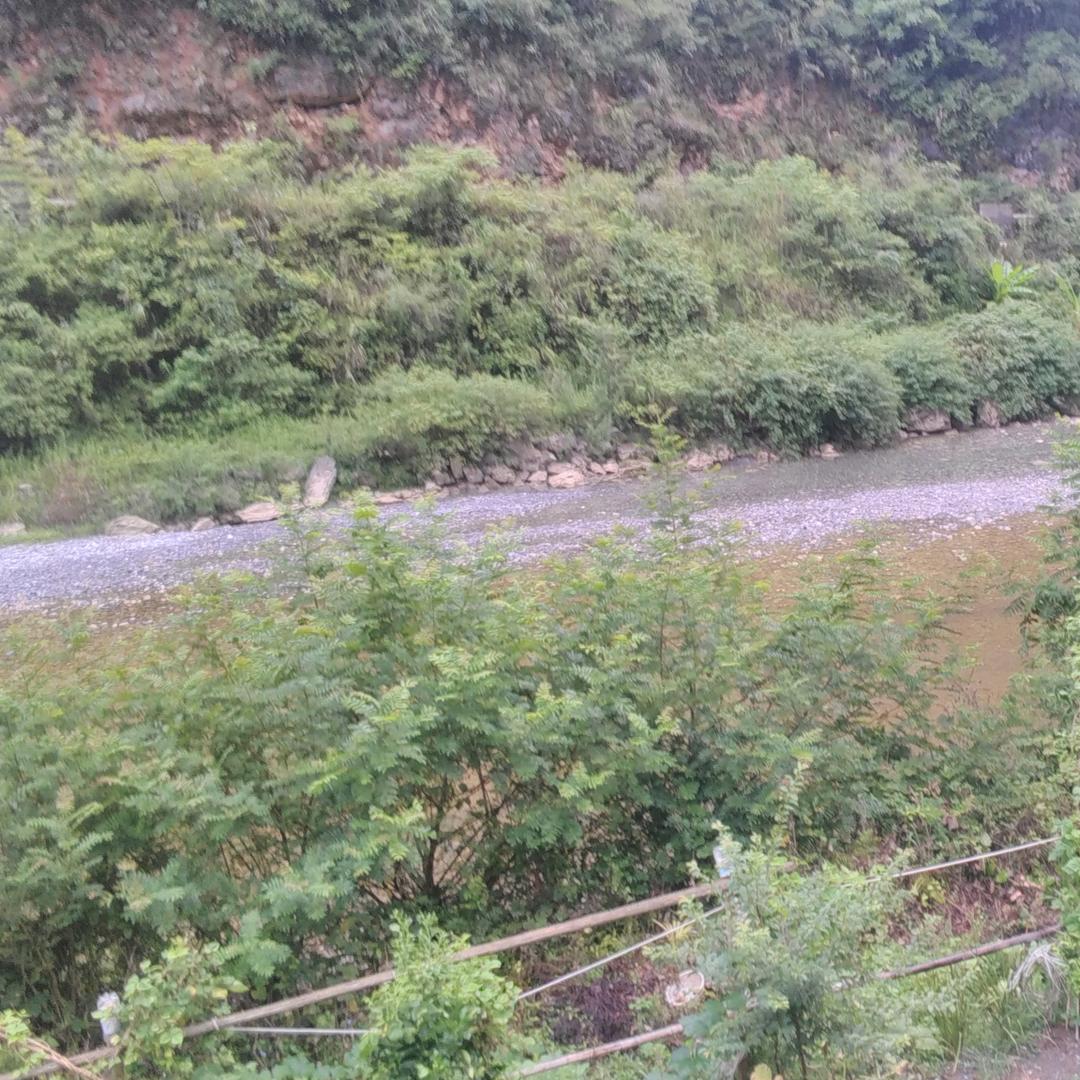 千金难买爷一笑🥬🥬🍉🍉