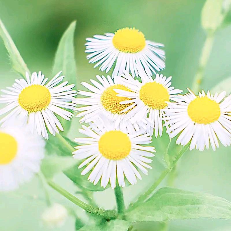 风雨彩虹用户7228288945516