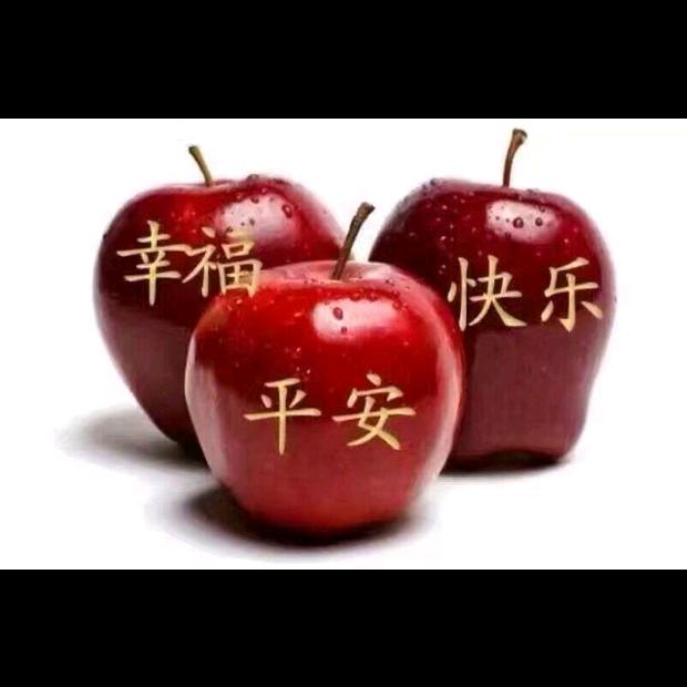 🐶⁰³.₀₅徐℘࿐