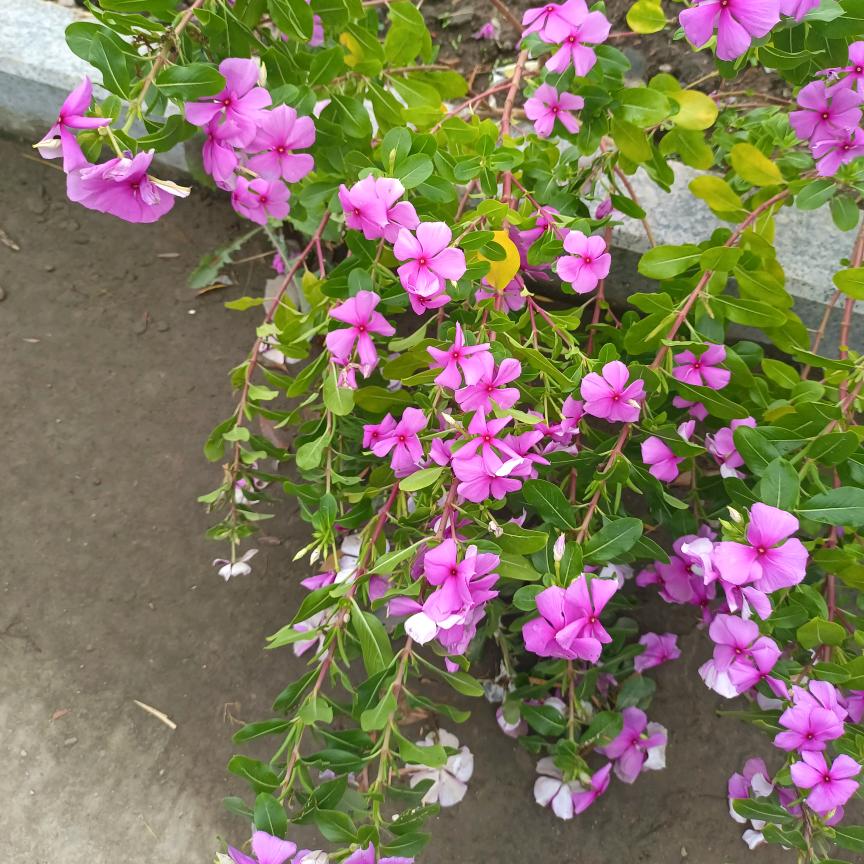 风雨过晴天