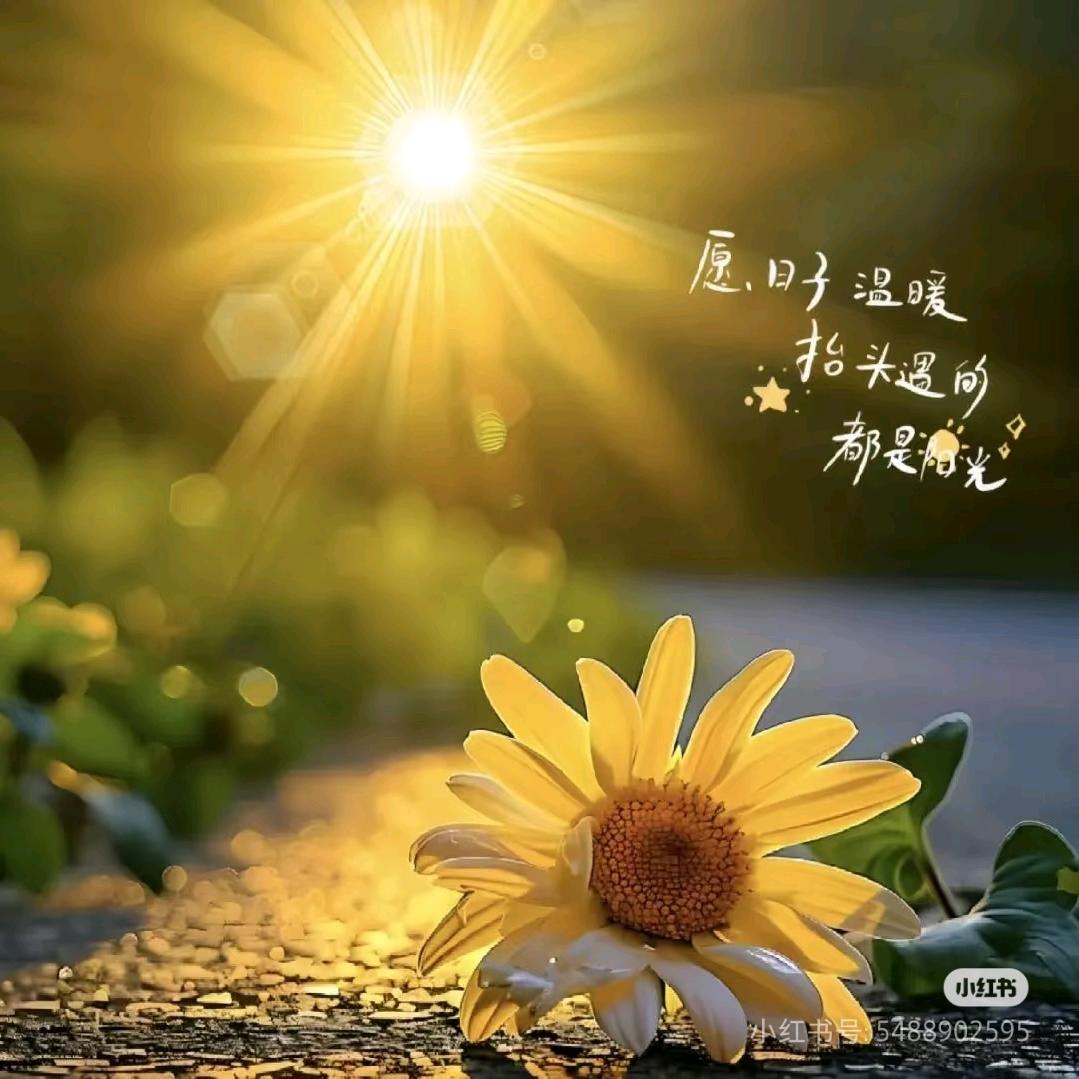 晨曦*