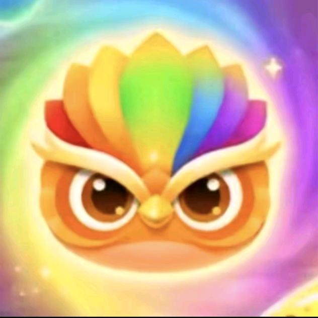 小歪Y