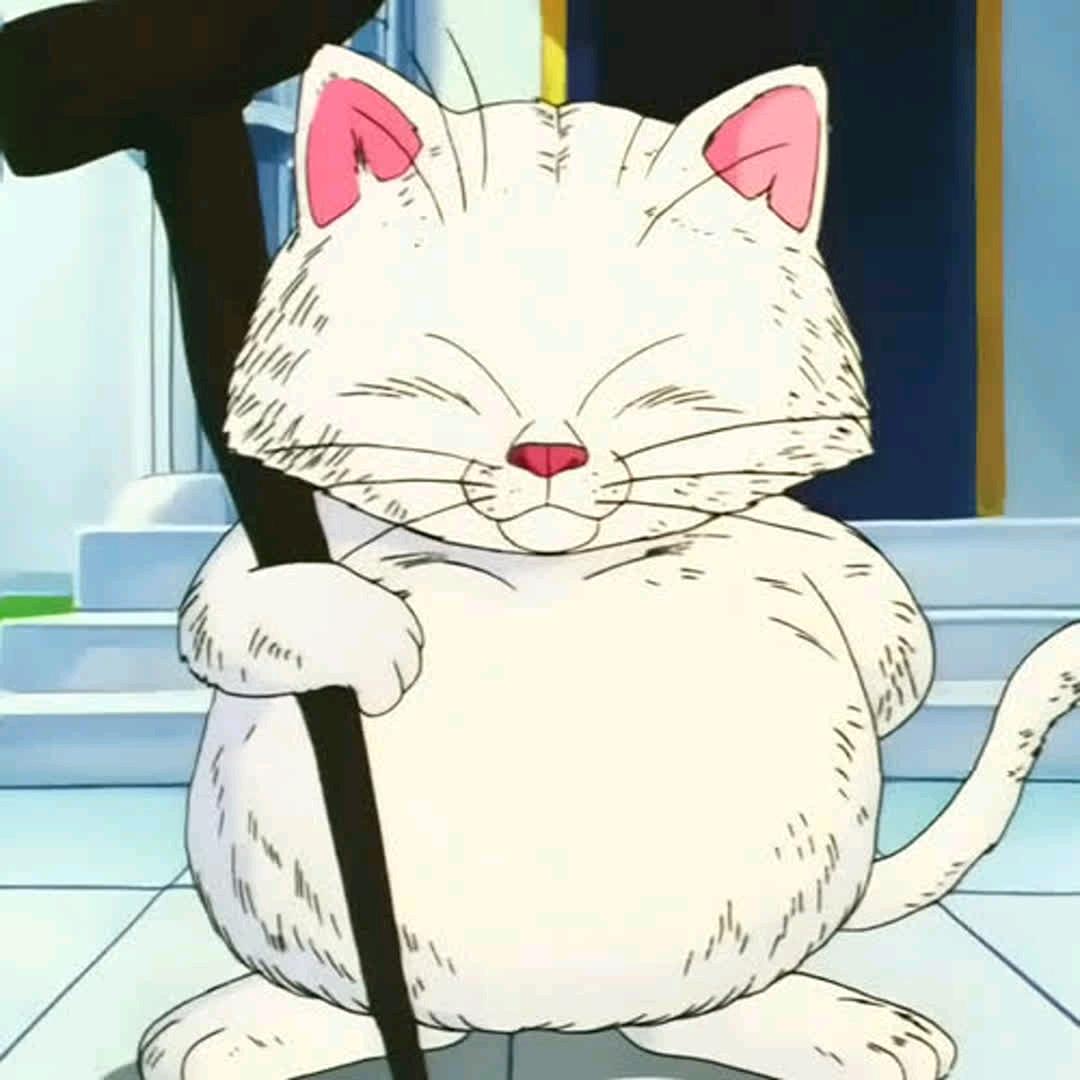 卡林