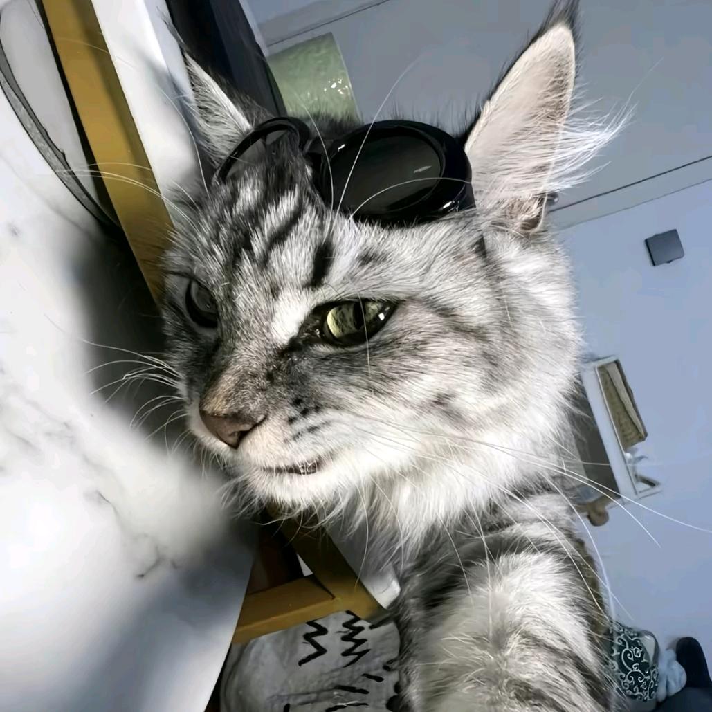 敏锐