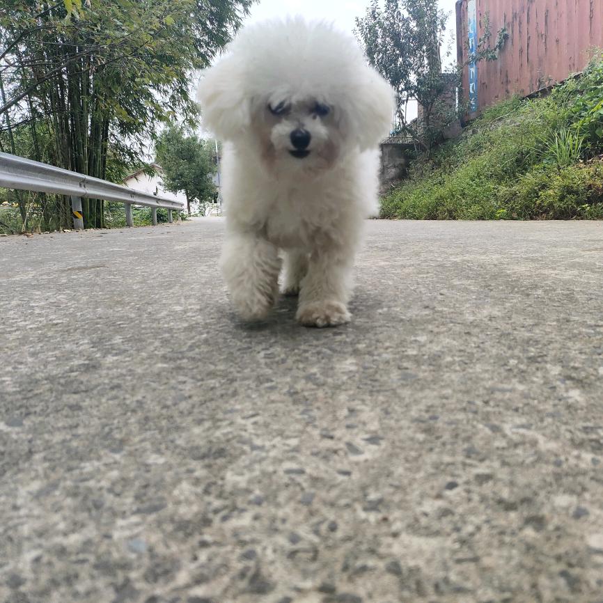 后山人...