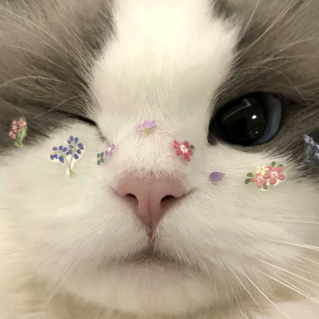 小co🌧️没烦恼.