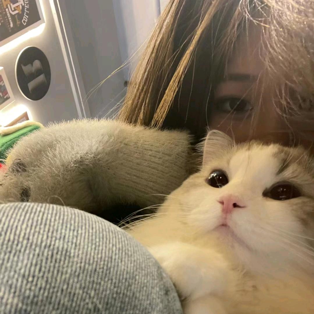 李小花🌸