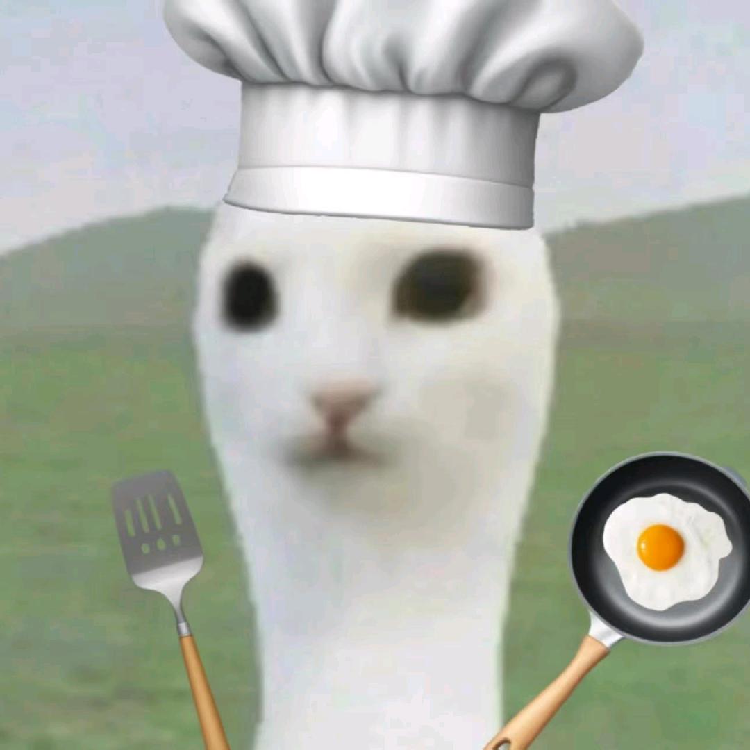 枫韵的无聊日常🌈